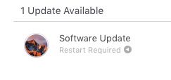 Apple App Store Software Update Screenshot