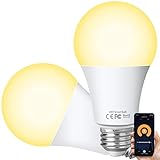 Alexa Smart LED Lampen E27, WLAN Glühbirne Dimmbar, 10W Warmweiß Licht, Timing Funktion, Kompatibel mit Amazon Alexa Echo Echo dot Google Home, Kein Hub Erforderlich, 2700K Birne(2 Stück)